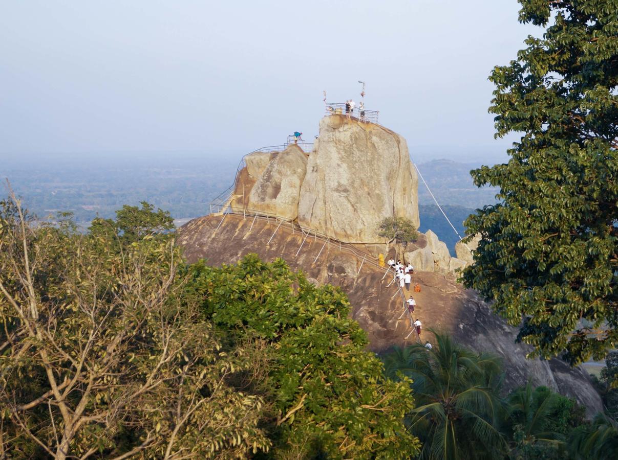 Mihintale Heritage Rest House المظهر الخارجي الصورة